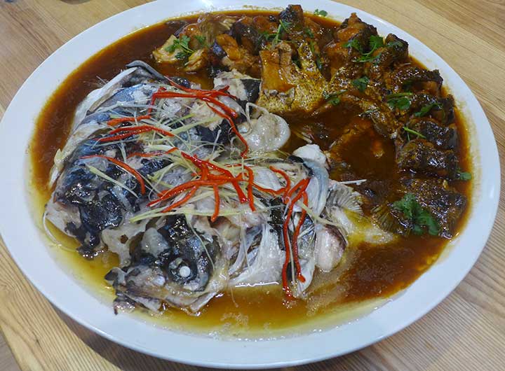 魚